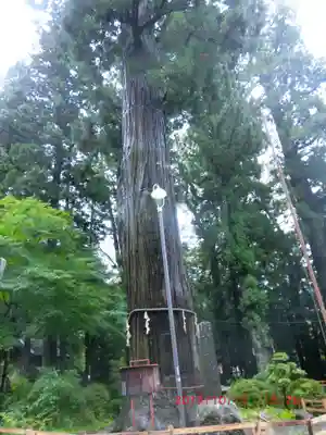 河口浅間神社(山梨県)