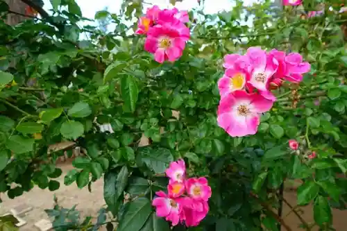 おふさ観音（観音寺）の庭園