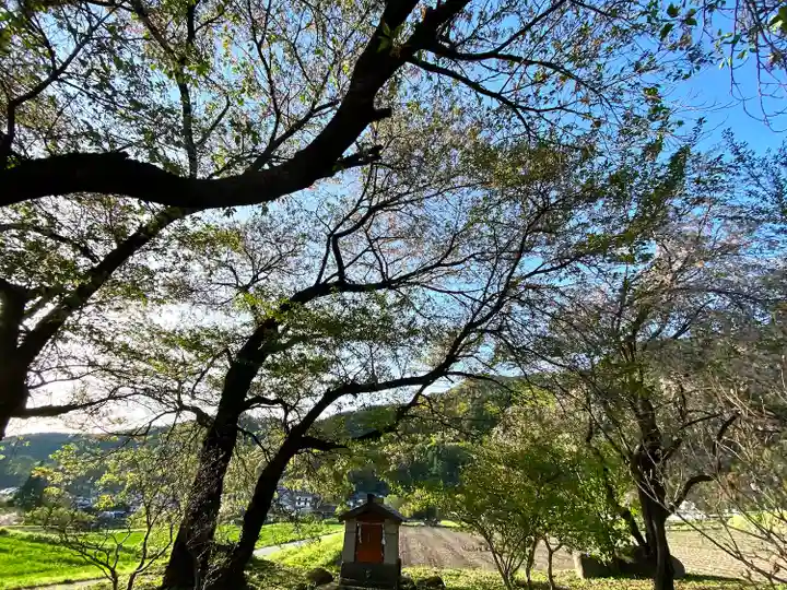 天神宮(伝河原氏屋敷跡)の自然