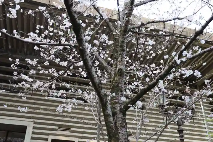 熱田神宮(愛知県)