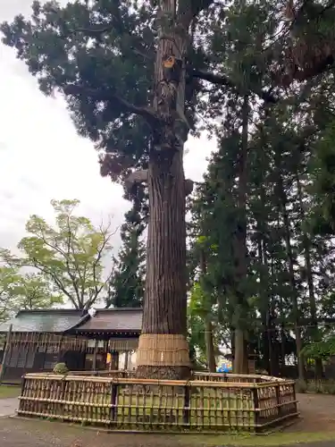日高神社(岩手県)