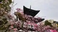 本法寺(京都府)