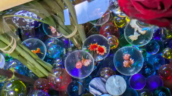 勝林寺(京都府)