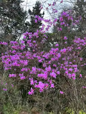 八王寺(埼玉県)