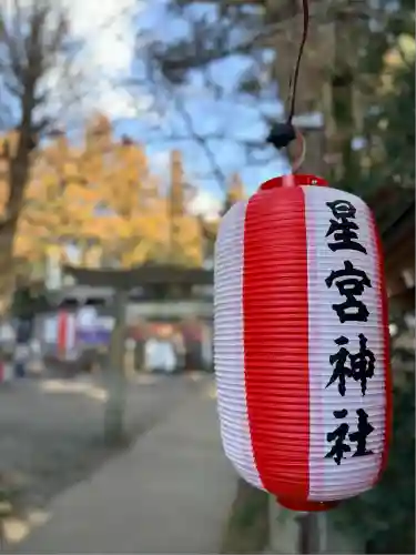 下野 星宮神社(栃木県)