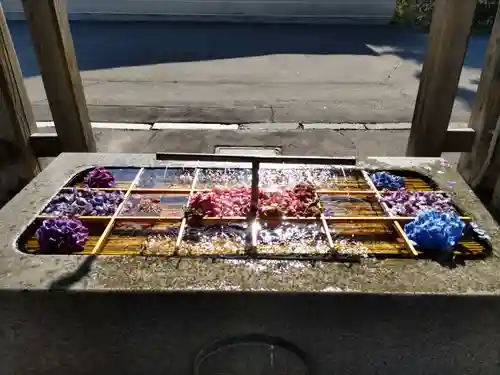 亀田八幡宮の手水舎