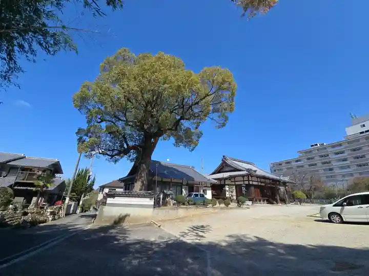 福徳寺(大阪府)