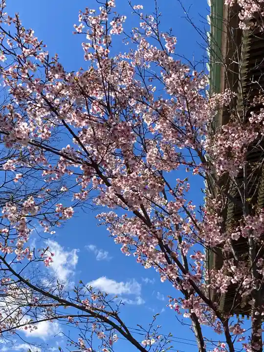 村松 大神宮(茨城県)