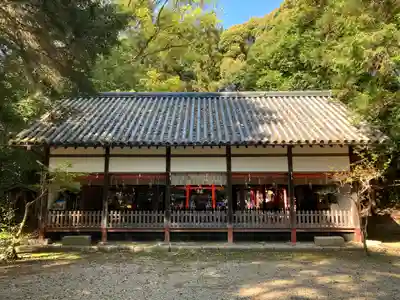 松尾神社の本殿・本堂
