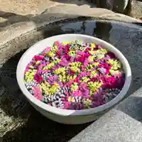 勝岡八幡神社の手水舎