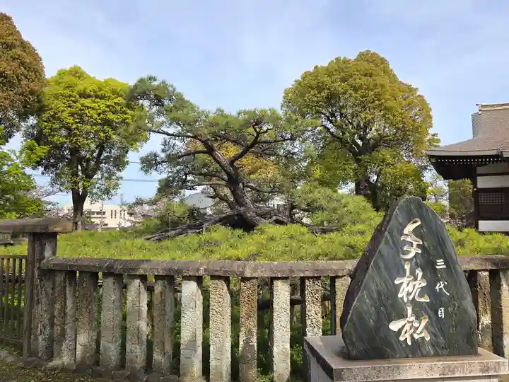 住吉神社の自然