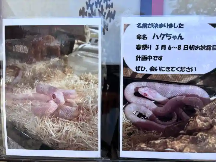 白子神社の{uncategorized: "未分類", other: "その他", undefined: "問題あり", building: "その他建物", grave: "お墓", sacred_gate: "鳥居", guardian: "狛犬", statue: "像", buddha: "仏像", history: "歴史", nature: "自然", garden: "庭園", animal: "動物", pagoda: "塔", temizu: "手水舎", mountain_gate: "山門・神門", sanctuary: "本殿・本堂", subordinate: "末社・摂社", art: "芸術", scenery: "景色", jizo: "地蔵", ema: "絵馬", goshuin: "御朱印", omikuji: "おみくじ", items: "授与品その他", amulet: "お守り", goshuincho: "御朱印帳", eats: "食事", festival: "お祭り", votive_dance: "神楽", shichigosan: "七五三参", wedding: "結婚式", experience: "体験その他", initially: "初詣", around: "周辺", anti_infection: "感染症対策"}