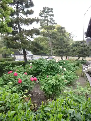 建仁寺（建仁禅寺）の庭園