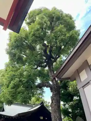 旗岡八幡神社(東京都)