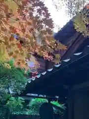 光明寺瑠璃光院(京都府)