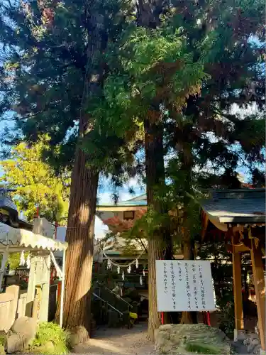 渋川八幡宮(群馬県)
