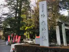 椿大神社の鳥居