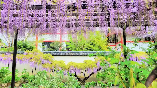 奈加美神社(大阪府)