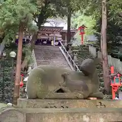 枚岡神社の狛犬