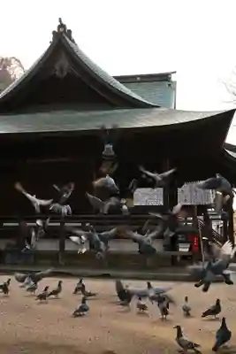 糸碕神社(広島県)