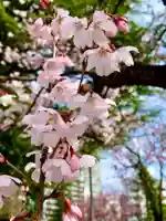 瀧澤神社(宮城県)