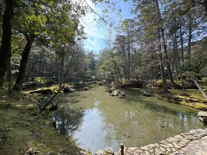 西芳寺の{uncategorized: "未分類", other: "その他", undefined: "問題あり", building: "その他建物", grave: "お墓", sacred_gate: "鳥居", guardian: "狛犬", statue: "像", buddha: "仏像", history: "歴史", nature: "自然", garden: "庭園", animal: "動物", pagoda: "塔", temizu: "手水舎", mountain_gate: "山門・神門", sanctuary: "本殿・本堂", subordinate: "末社・摂社", art: "芸術", scenery: "景色", jizo: "地蔵", ema: "絵馬", goshuin: "御朱印", omikuji: "おみくじ", items: "授与品その他", amulet: "お守り", goshuincho: "御朱印帳", eats: "食事", festival: "お祭り", votive_dance: "神楽", shichigosan: "七五三参", wedding: "結婚式", experience: "体験その他", initially: "初詣", around: "周辺", anti_infection: "感染症対策"}
