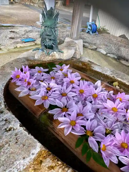立志神社の手水舎
