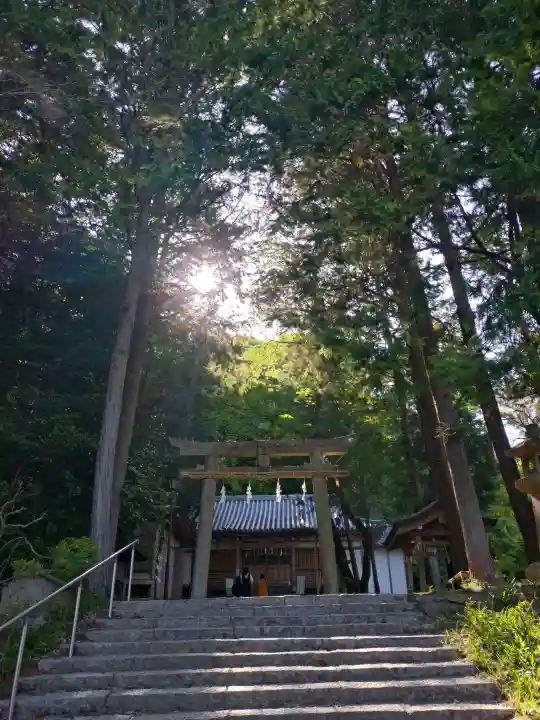 松尾寺の{uncategorized: "未分類", other: "その他", undefined: "問題あり", building: "その他建物", grave: "お墓", sacred_gate: "鳥居", guardian: "狛犬", statue: "像", buddha: "仏像", history: "歴史", nature: "自然", garden: "庭園", animal: "動物", pagoda: "塔", temizu: "手水舎", mountain_gate: "山門・神門", sanctuary: "本殿・本堂", subordinate: "末社・摂社", art: "芸術", scenery: "景色", jizo: "地蔵", ema: "絵馬", goshuin: "御朱印", omikuji: "おみくじ", items: "授与品その他", amulet: "お守り", goshuincho: "御朱印帳", eats: "食事", festival: "お祭り", votive_dance: "神楽", shichigosan: "七五三参", wedding: "結婚式", experience: "体験その他", initially: "初詣", around: "周辺", anti_infection: "感染症対策"}