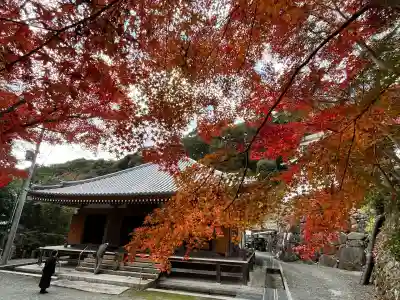 神峯山寺(大阪府)