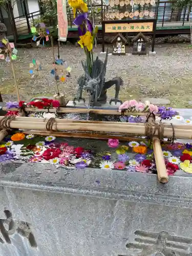 今市報徳二宮神社の手水舎