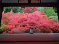 安國寺(兵庫県)