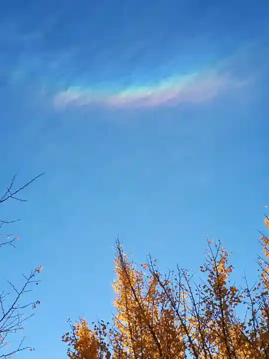 白山神社の自然