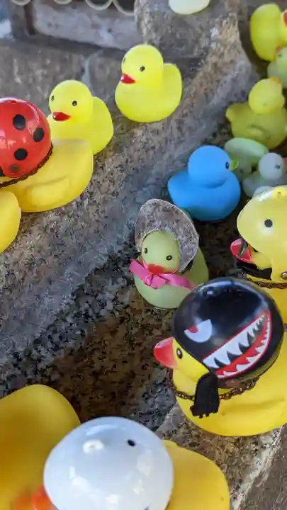 くろ谷 金戒光明寺(京都府)