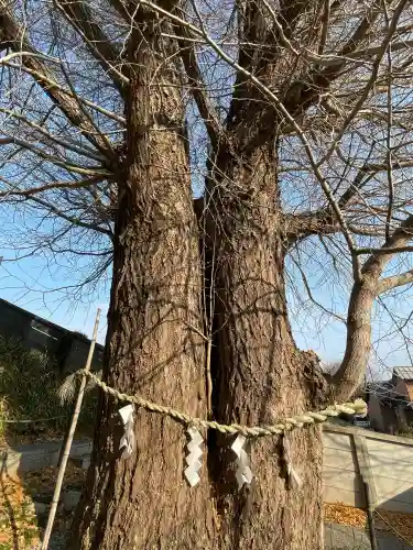 堤治神社(愛知県)