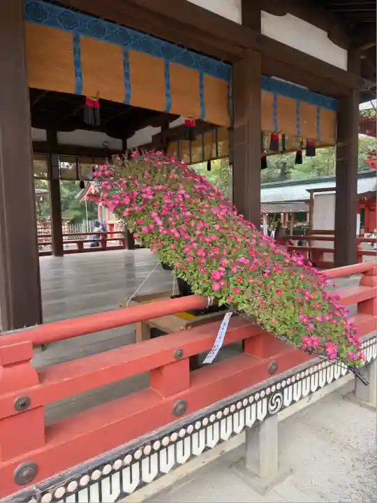 武蔵一宮氷川神社(埼玉県)