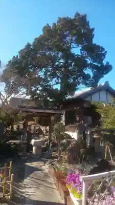 三光院跡(愛知県)