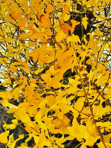宇賀神社(京都府)