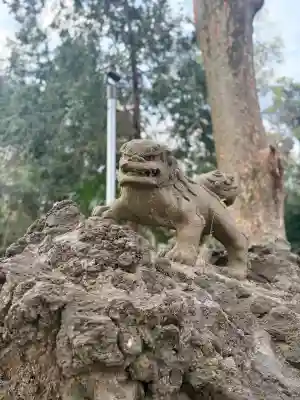 氷川神社の{uncategorized: "未分類", other: "その他", undefined: "問題あり", building: "その他建物", grave: "お墓", sacred_gate: "鳥居", guardian: "狛犬", statue: "像", buddha: "仏像", history: "歴史", nature: "自然", garden: "庭園", animal: "動物", pagoda: "塔", temizu: "手水舎", mountain_gate: "山門・神門", sanctuary: "本殿・本堂", subordinate: "末社・摂社", art: "芸術", scenery: "景色", jizo: "地蔵", ema: "絵馬", goshuin: "御朱印", omikuji: "おみくじ", items: "授与品その他", amulet: "お守り", goshuincho: "御朱印帳", eats: "食事", festival: "お祭り", votive_dance: "神楽", shichigosan: "七五三参", wedding: "結婚式", experience: "体験その他", initially: "初詣", around: "周辺", anti_infection: "感染症対策"}