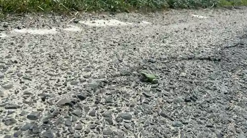 須我神社奥宮の{uncategorized: "未分類", other: "その他", undefined: "問題あり", building: "その他建物", grave: "お墓", sacred_gate: "鳥居", guardian: "狛犬", statue: "像", buddha: "仏像", history: "歴史", nature: "自然", garden: "庭園", animal: "動物", pagoda: "塔", temizu: "手水舎", mountain_gate: "山門・神門", sanctuary: "本殿・本堂", subordinate: "末社・摂社", art: "芸術", scenery: "景色", jizo: "地蔵", ema: "絵馬", goshuin: "御朱印", omikuji: "おみくじ", items: "授与品その他", amulet: "お守り", goshuincho: "御朱印帳", eats: "食事", festival: "お祭り", votive_dance: "神楽", shichigosan: "七五三参", wedding: "結婚式", experience: "体験その他", initially: "初詣", around: "周辺", anti_infection: "感染症対策"}