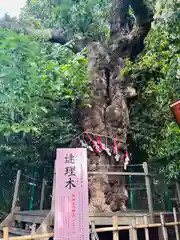 城山八幡宮(愛知県)