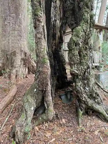 高岡神社(岡山県)
