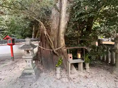 白坂神社(奈良県)