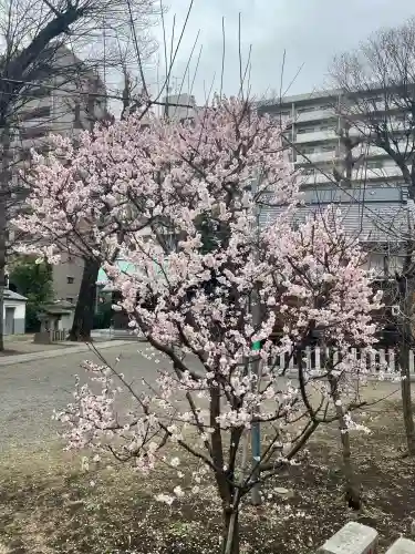 西早稲田天祖神社の{uncategorized: "未分類", other: "その他", undefined: "問題あり", building: "その他建物", grave: "お墓", sacred_gate: "鳥居", guardian: "狛犬", statue: "像", buddha: "仏像", history: "歴史", nature: "自然", garden: "庭園", animal: "動物", pagoda: "塔", temizu: "手水舎", mountain_gate: "山門・神門", sanctuary: "本殿・本堂", subordinate: "末社・摂社", art: "芸術", scenery: "景色", jizo: "地蔵", ema: "絵馬", goshuin: "御朱印", omikuji: "おみくじ", items: "授与品その他", amulet: "お守り", goshuincho: "御朱印帳", eats: "食事", festival: "お祭り", votive_dance: "神楽", shichigosan: "七五三参", wedding: "結婚式", experience: "体験その他", initially: "初詣", around: "周辺", anti_infection: "感染症対策"}