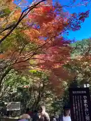 大矢田神社の自然