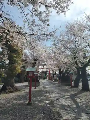 鷲宮神社(埼玉県)