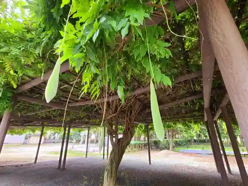 中山熊野神社(福岡県)