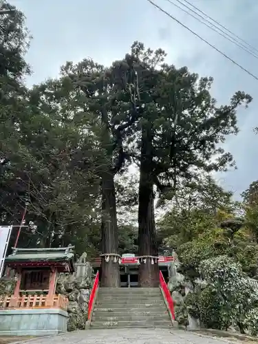 八幡朝見神社の自然