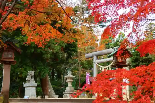 三春大神宮の景色
