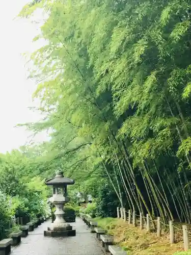 資福禅寺の塔