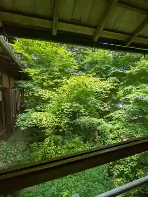 光明寺瑠璃光院(京都府)